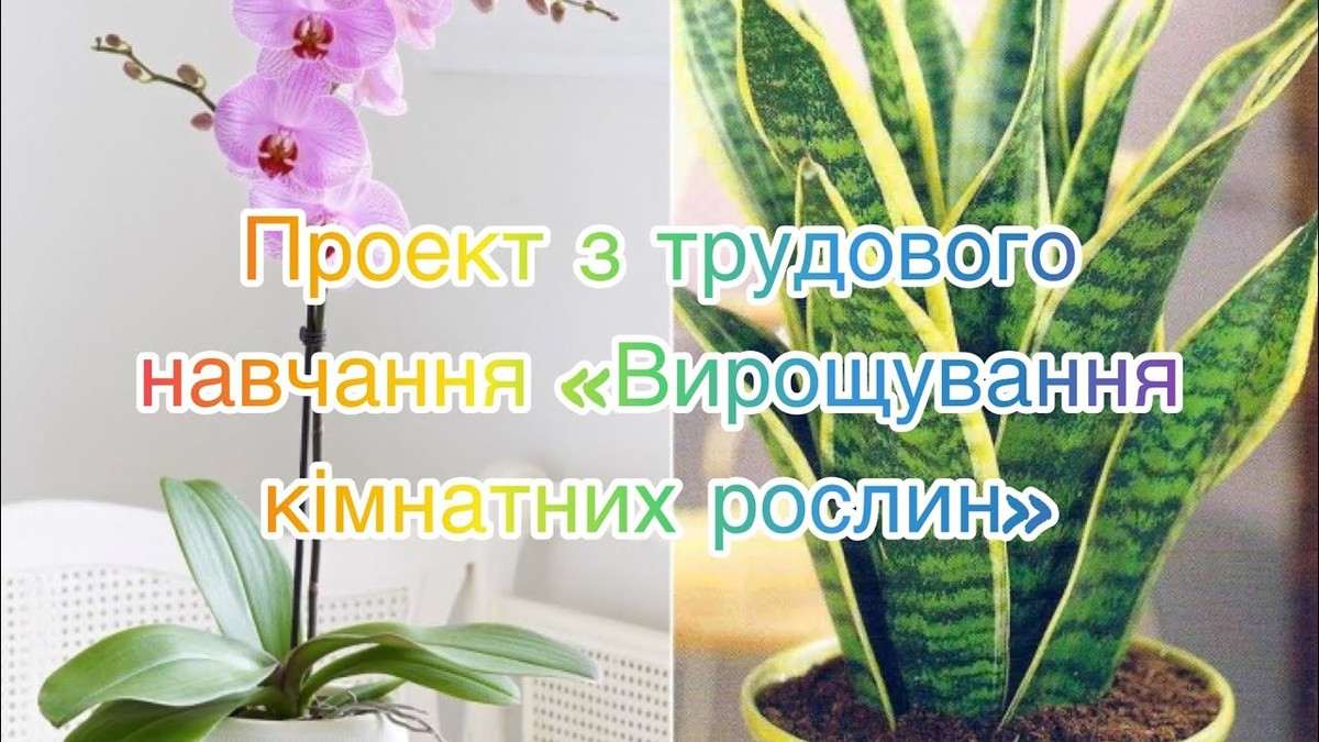 Догляд за ландшафтом